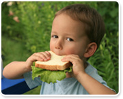 סרבני ירקות - איך נשכנע ילדים שאינם אוכלים ירקות, לאכול ירקות